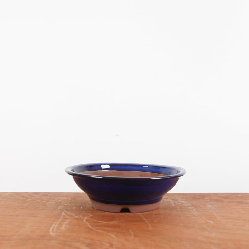 Bonsai pot 'rond'