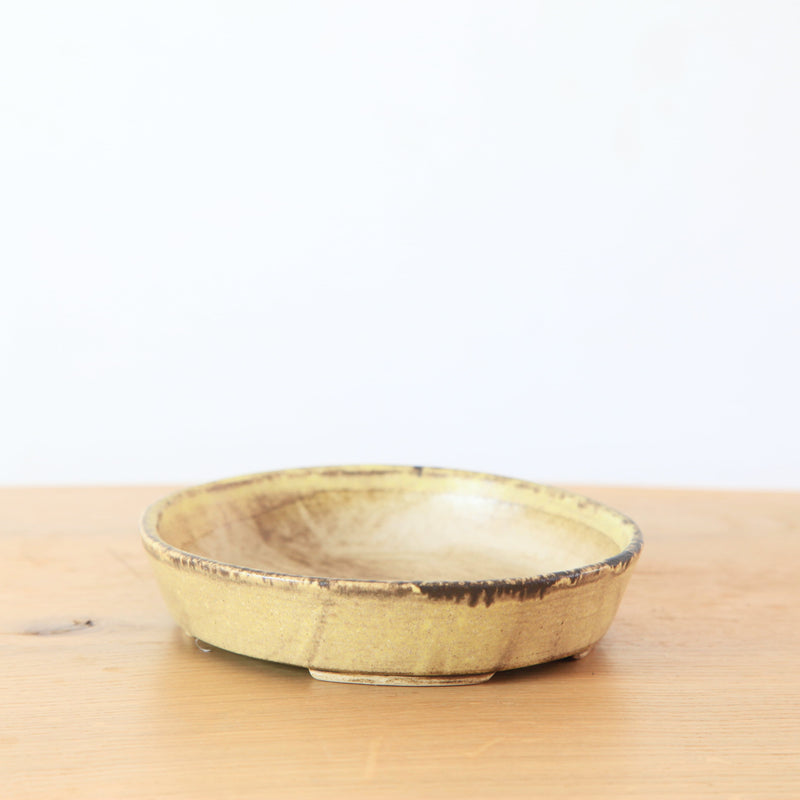 Bonsai Pot 'ovaal'