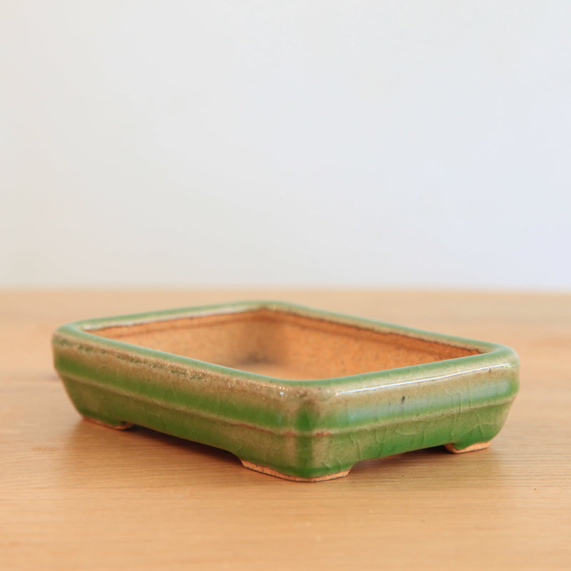 Bonsai Pot Tokoname 'rechthoekig'