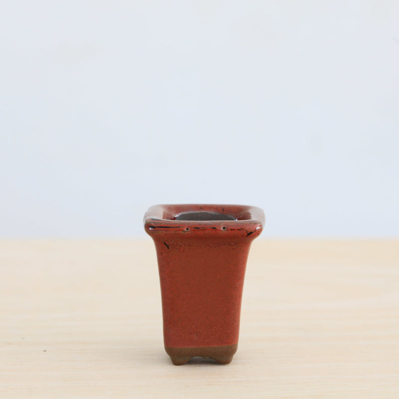 Bonsai Pot 'ovaal & vierkant'