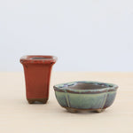 Bonsai Pot 'ovaal & vierkant'