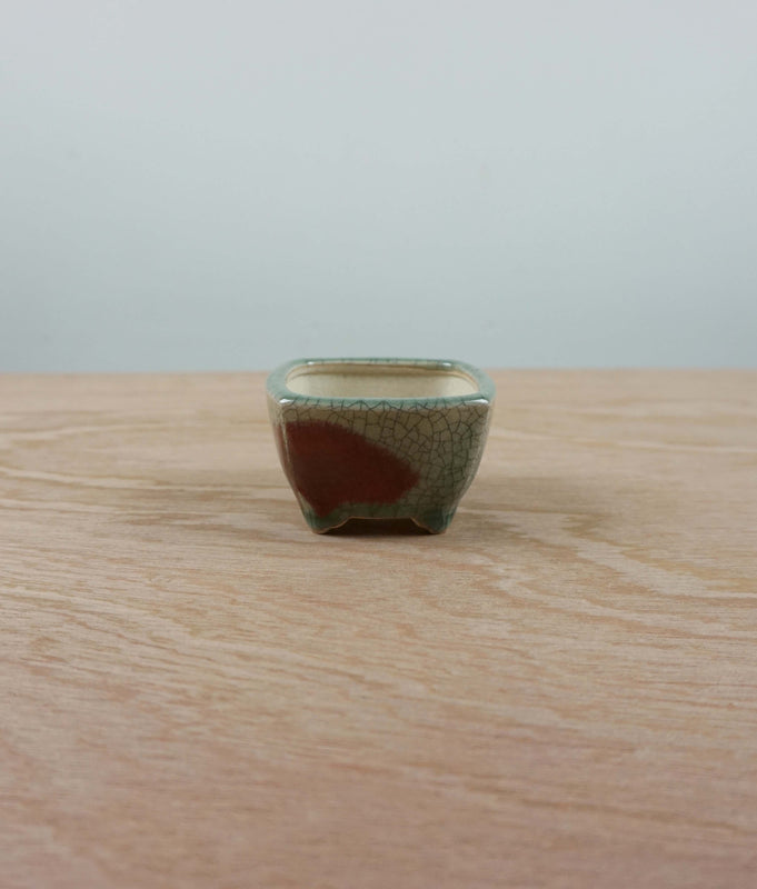 Bonsai pot 'vierkant' Tokoname