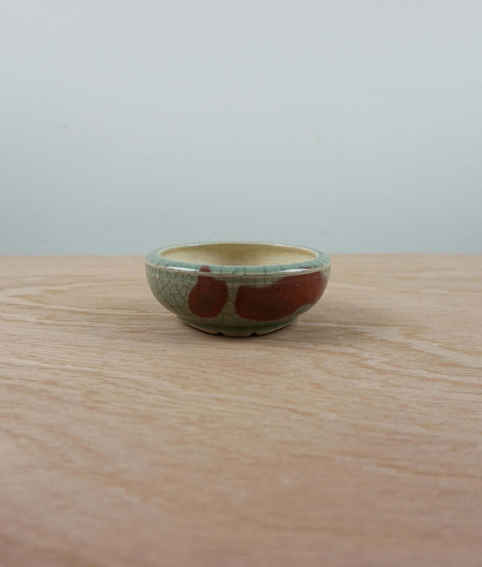 Bonsai pot 'rond' Tokoname