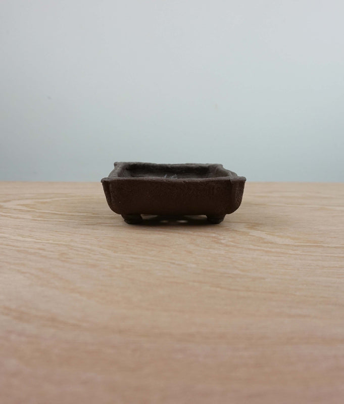 Bonsai pot 'vierkant' Tokoname