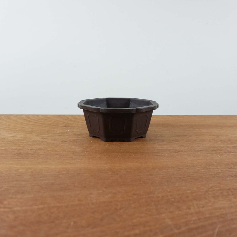 Bonsai trainingspot '15,0cm'