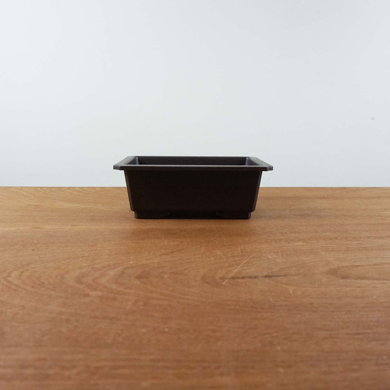 Bonsai trainingspot 24cm