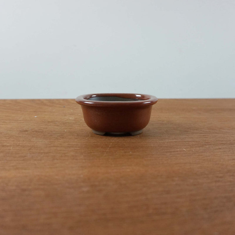 Bonsai pot 'ovaal'