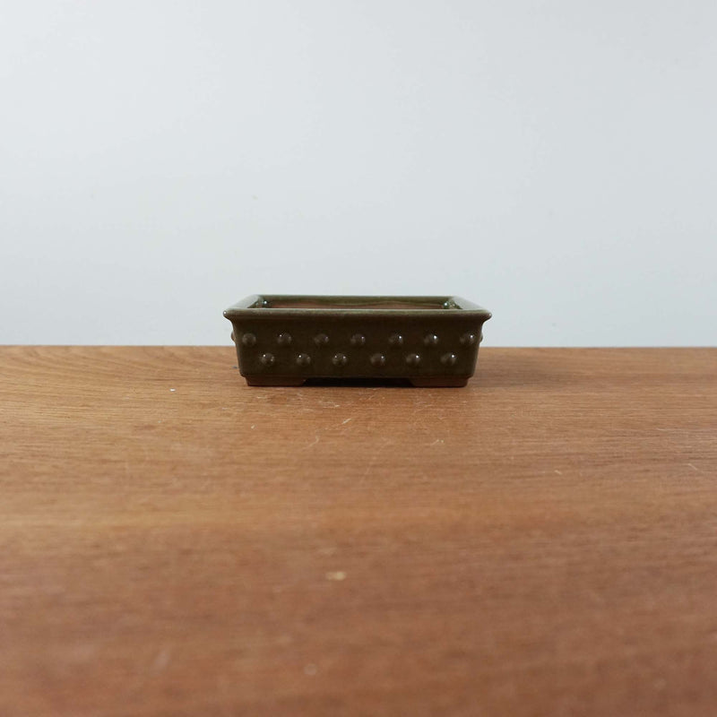 Bonsai pot 'rechthoekig'