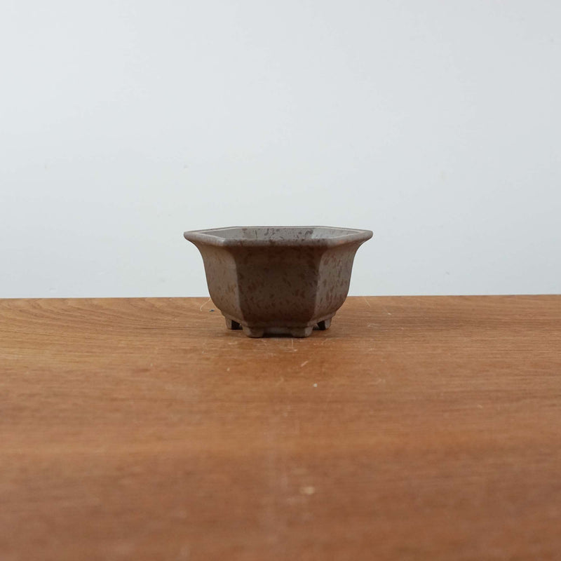Bonsai pot 'zeshoekig'