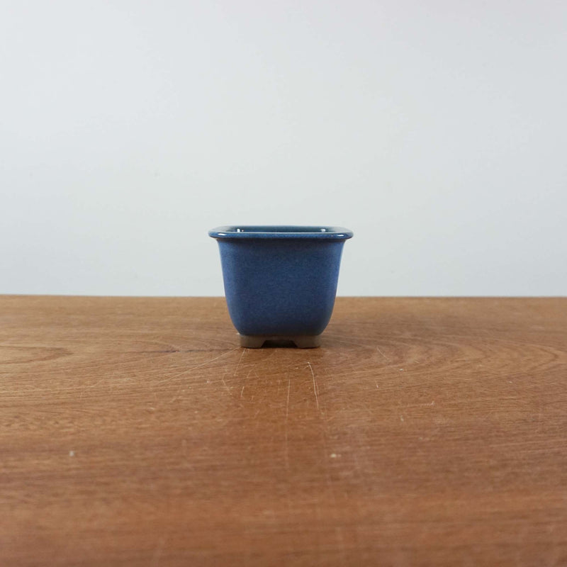 Bonsai pot 'vierkant'