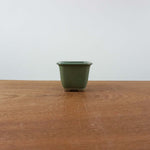 Bonsai pot 'vierkant'