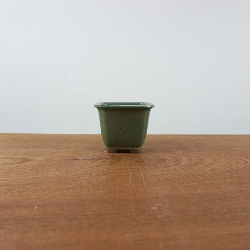 Bonsai pot 'vierkant'