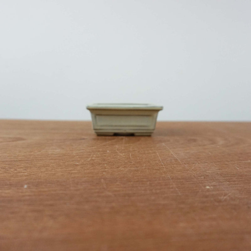 Bonsai pot 'rechthoekig'