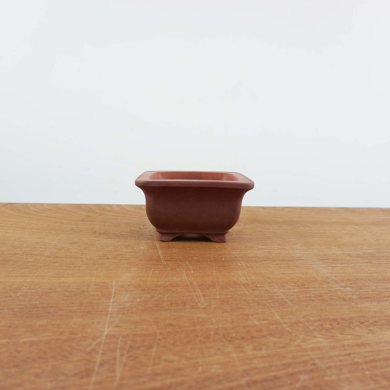 Bonsai pot 'vierkant'