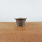 Bonsai pot 'rond'